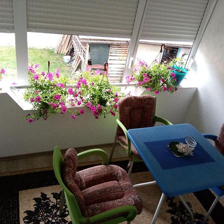 Višegrad Rzav B&B 객실 사진